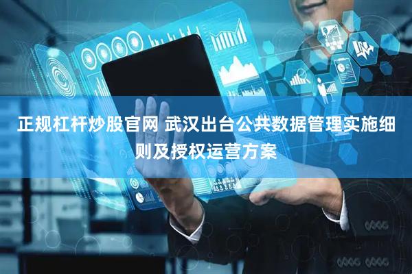 正规杠杆炒股官网 武汉出台公共数据管理实施细则及授权运营方案